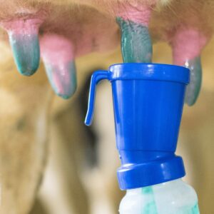 Igiene e biosicurezza