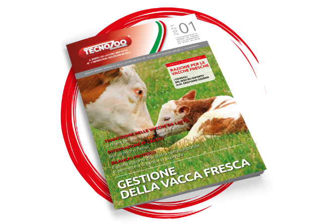 Gestione della vacca fresca