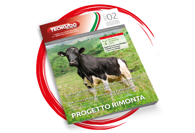 Progetto rimonta