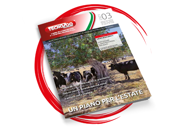 Un piano per l’estate