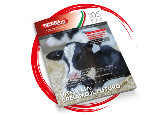 Vitellaia: creiamo il futuro