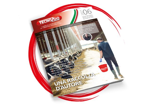 Una raccolta d’autore