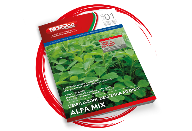 L’evoluzione dell’erba medica: Alfa Mix