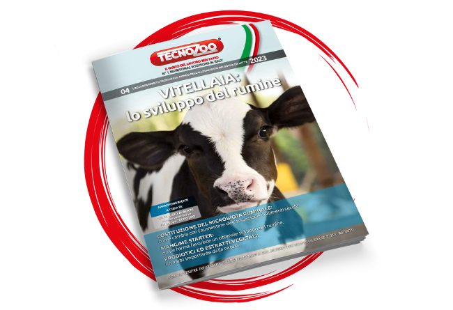 Vitellaia: lo sviluppo del rumine