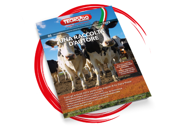 Una raccolta d’autore