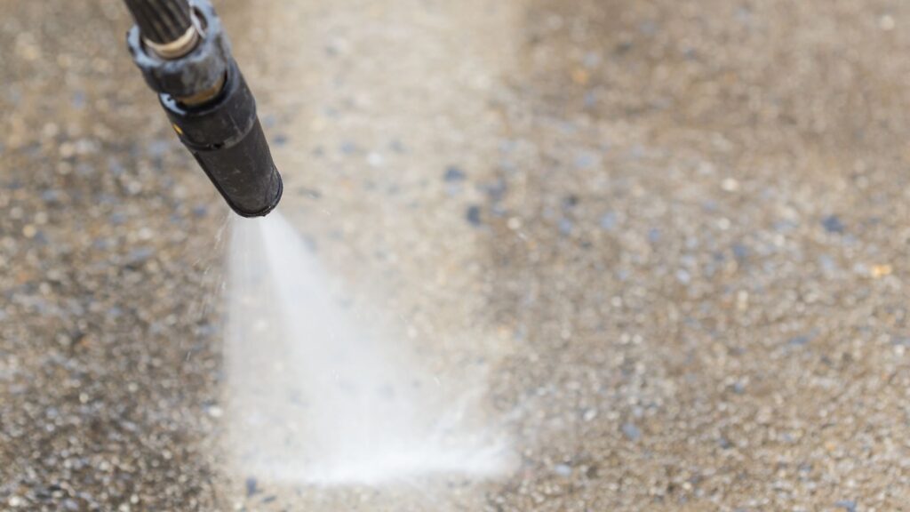 influenza aviaria biosicurezza