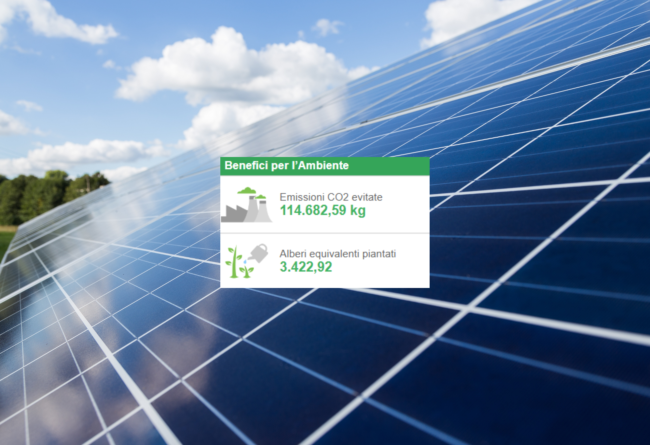 Giornata mondiale dell’ambiente 2023 – Tecnozoo c’è