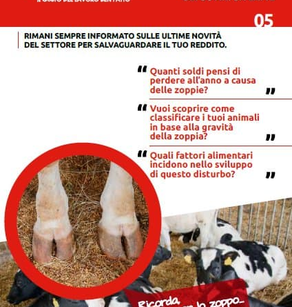 Il problema delle zoppie