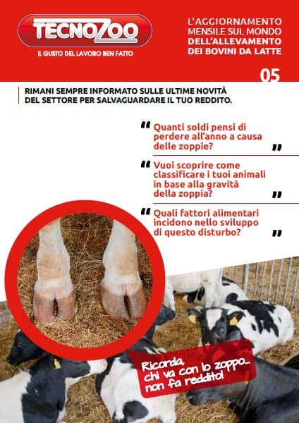 Il problema delle zoppie