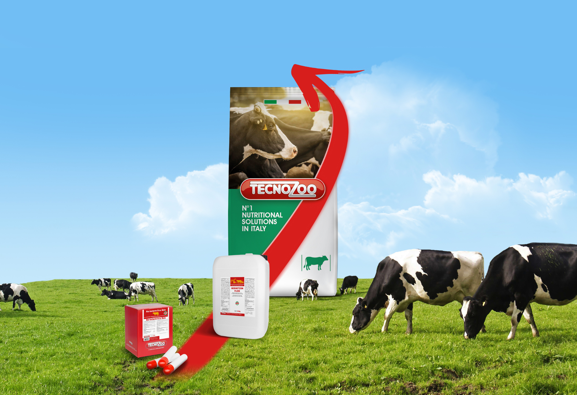 Linea Normoterm: la soluzione viene dalla natura