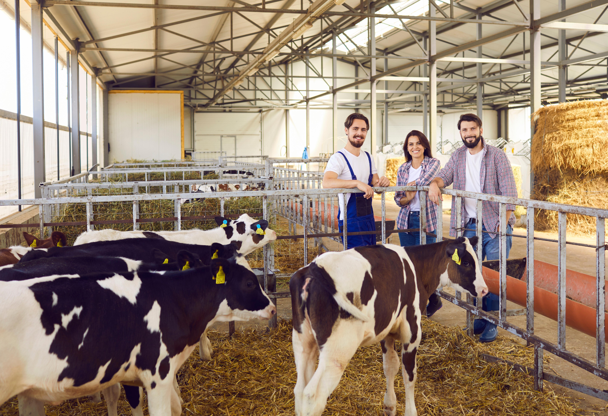 Microbioma e microbiota intestinale del vitello