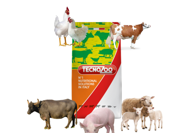 Hydratants, 3 conseils de Tecnozoo