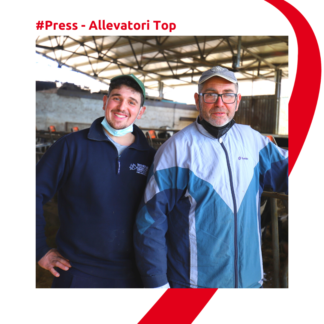 Allevamento Discenza e Tecnozoo su Allevatori Top