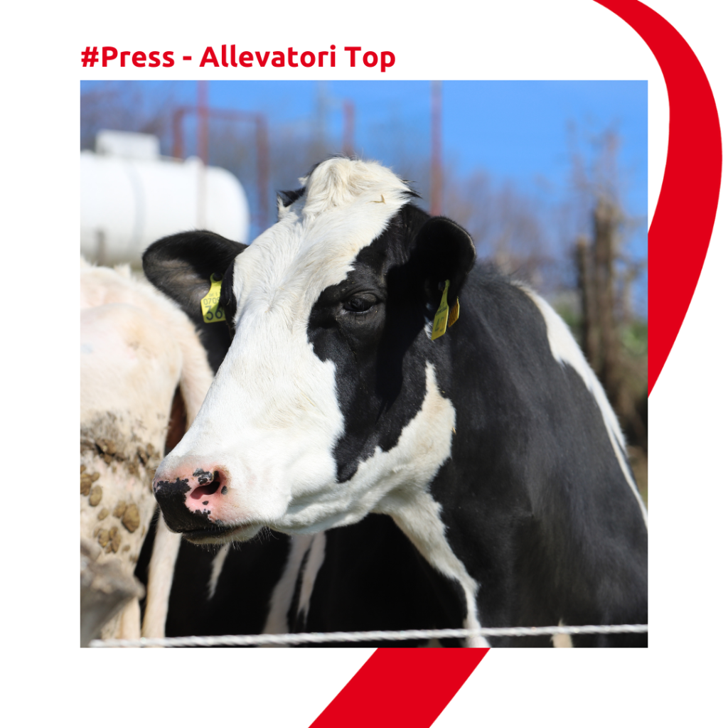 Allevamento Discenza e Tecnozoo