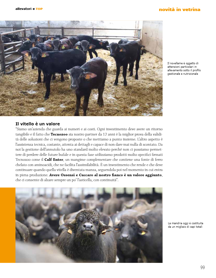 Allevamento Mastrominico