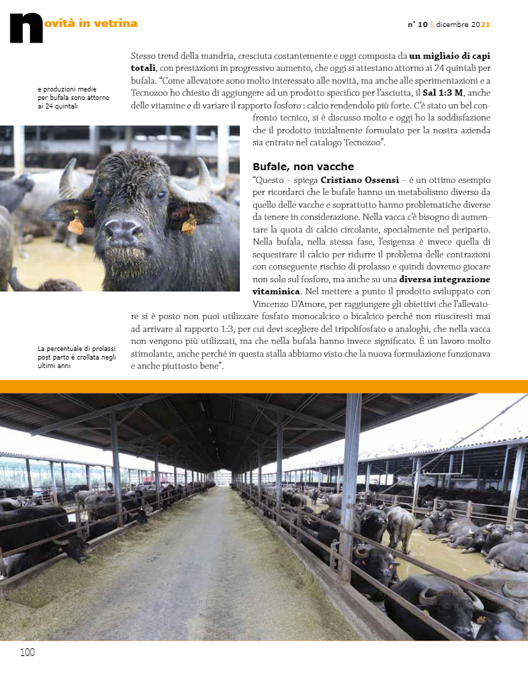 Allevamento Mastrominico