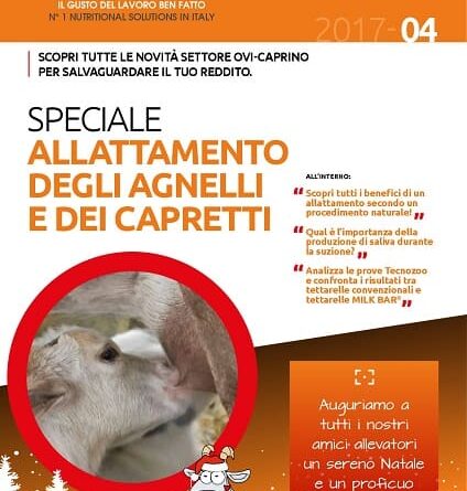 Ovicaprini: speciale Allattamento