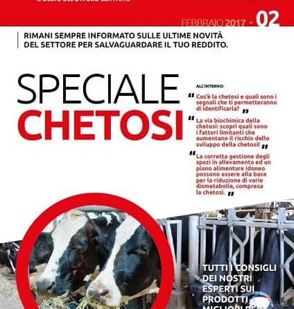 Dismetabolie metaboliche: la chetosi