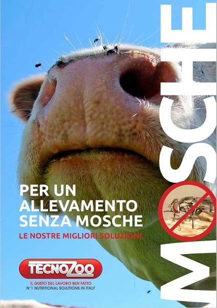 Mosche… un problema fastidioso!