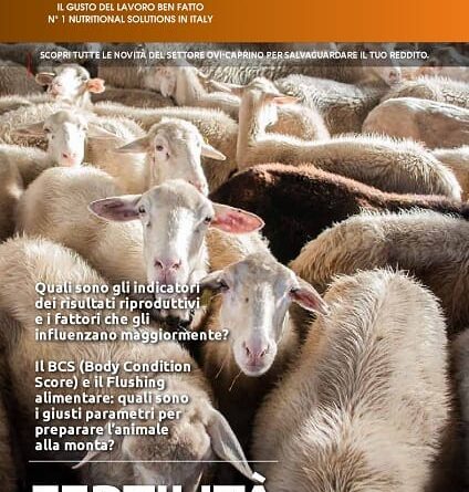 Fertilità negli Ovicaprini