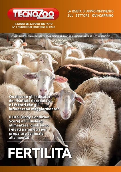 Fertilità negli Ovicaprini