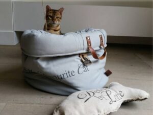 Accessori eleganti per cani e gatti