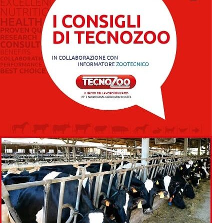 Fase di transizione nel periodo estivo: i consigli di Tecnozoo 7