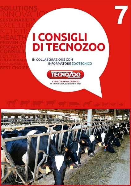 Fase di transizione nel periodo estivo: i consigli di Tecnozoo 7
