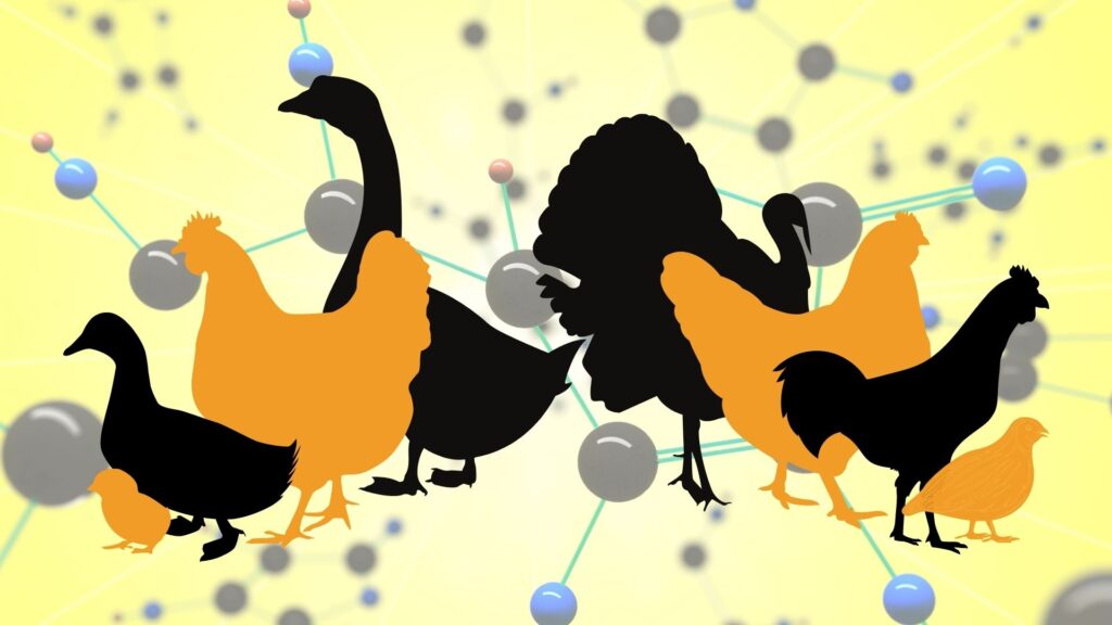 vitamine liposolubili ed idrosolubili