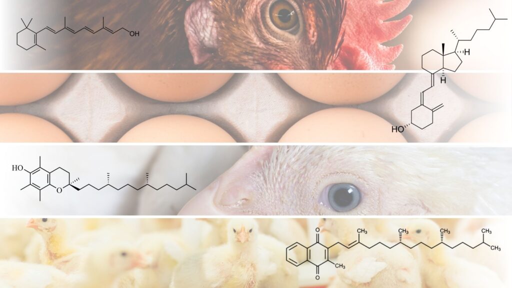 vitamine liposolubili