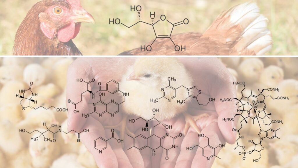 vitamine idrosolubili