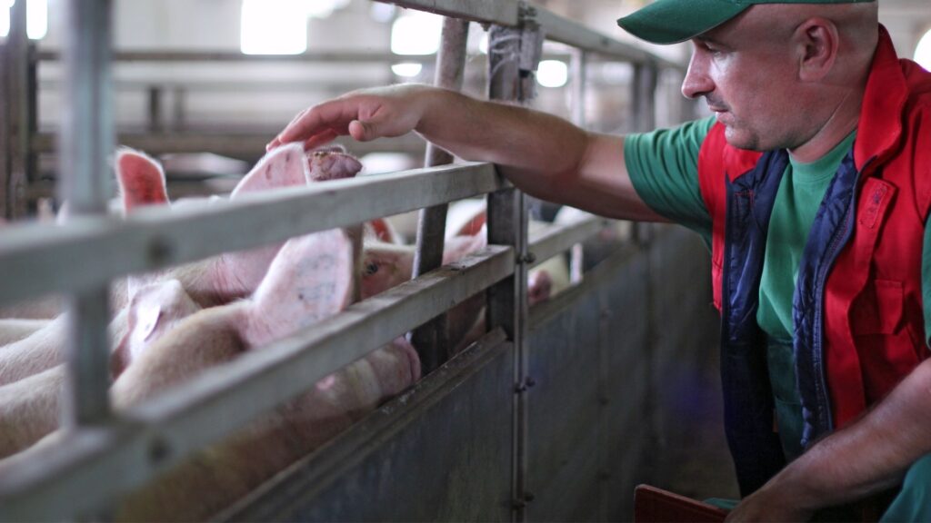 FORMIK STOP - ACIDIFICANTI