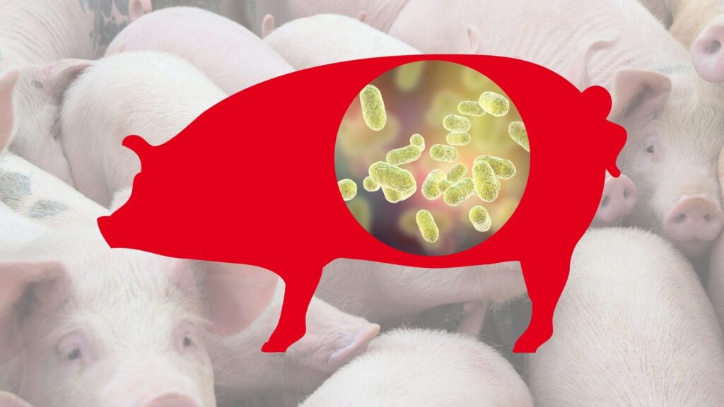 FORMIK STOP - ACIDIFICANTI