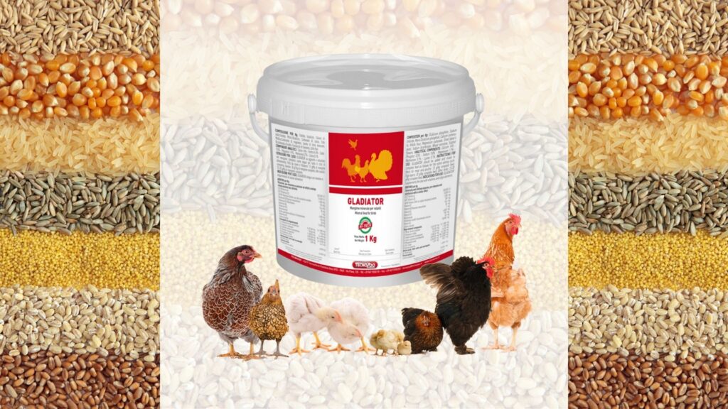 oligoelementi nel settore avicolo