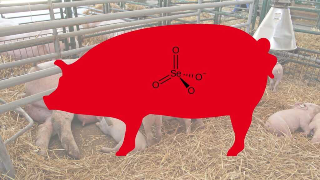 vitam e and selenium sow