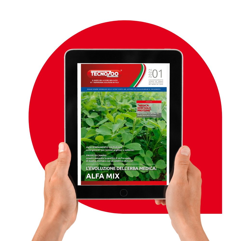 rivista miscuglio di erba medica 2022