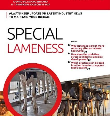 Lameness after intense heat waves