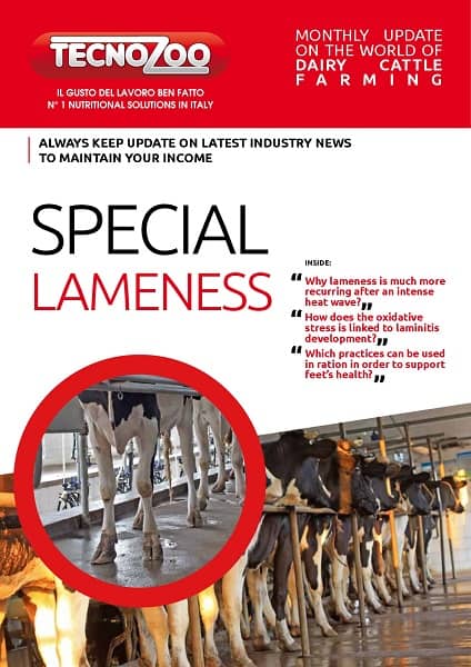 Lameness after intense heat waves