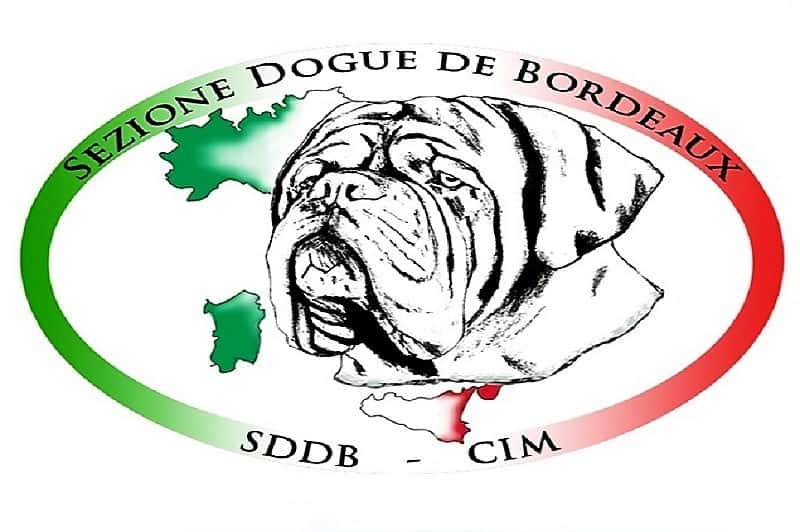 15° Raduno Italiano Dogue de Bordeaux
