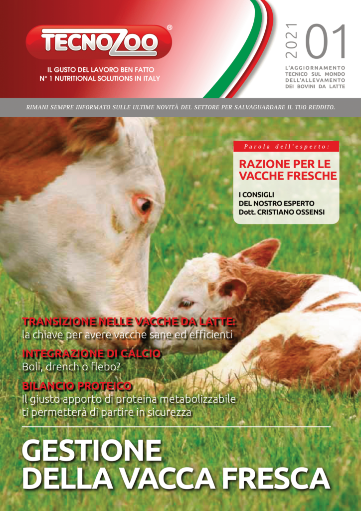 Vacche fresche