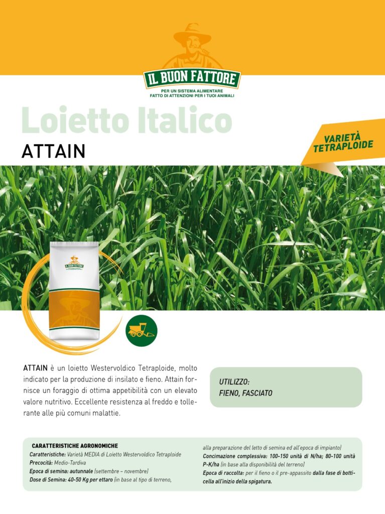 Sementi Autunno Vernini 2020