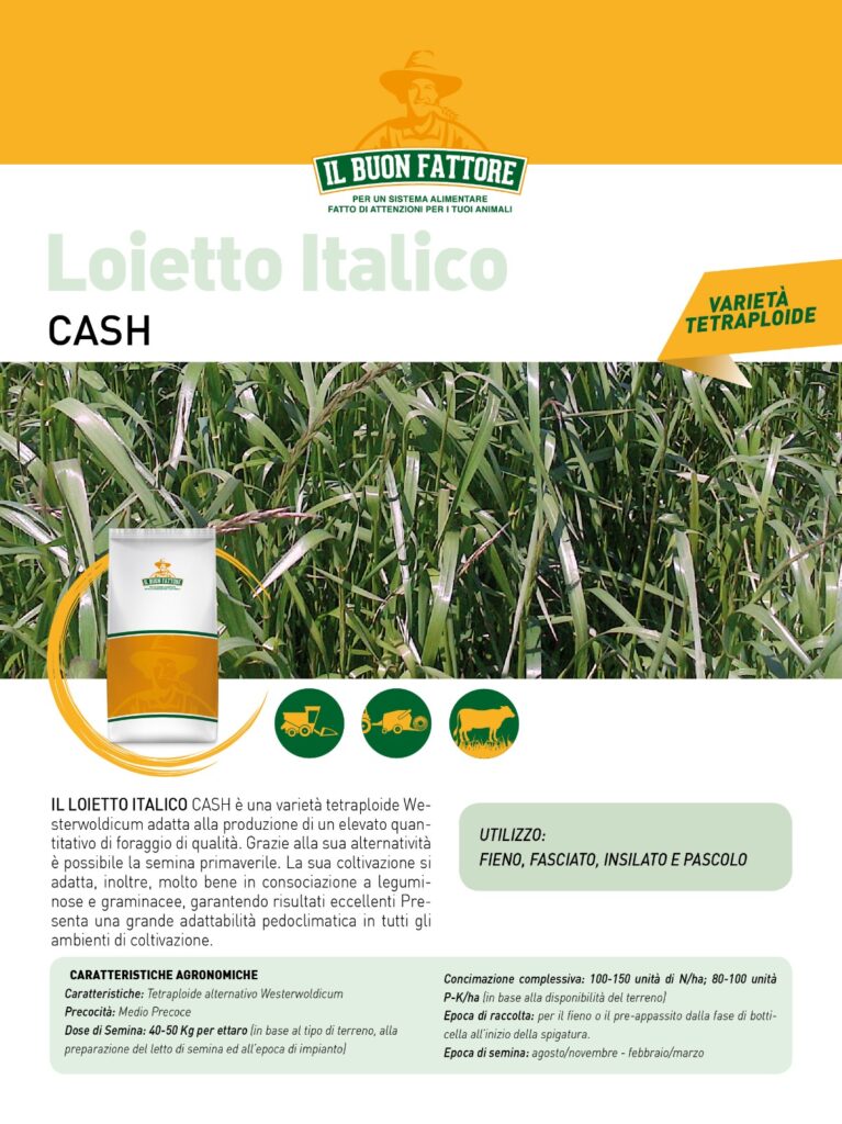 Sementi Autunno Vernini 2020