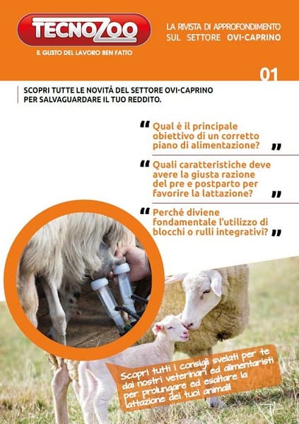 Ovicaprini: Speciale Lattazione