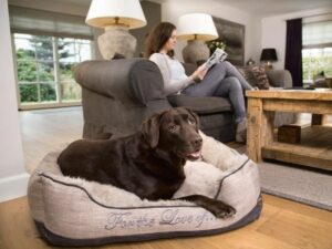 Accessori eleganti per cani e gatti