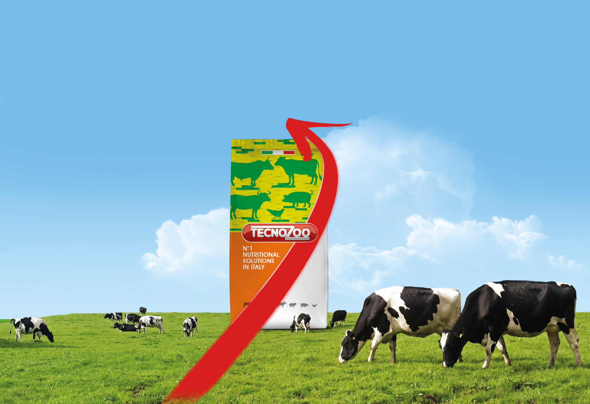 Linea Agecon, mangimi per bovini complementari e minerali