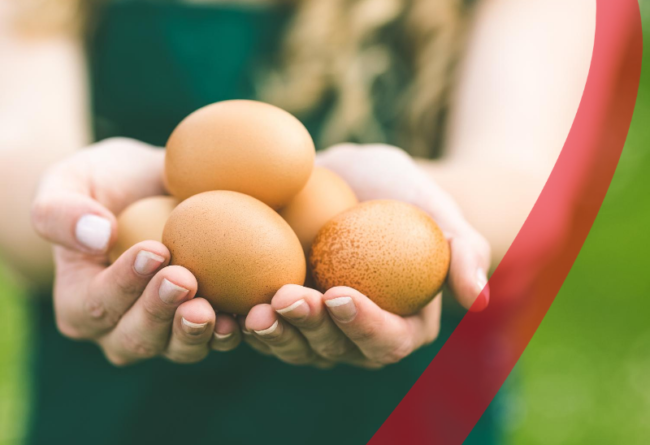 Qualità dell’albume