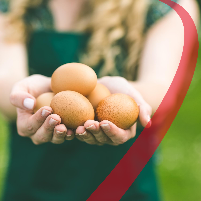 Qualità dell’albume