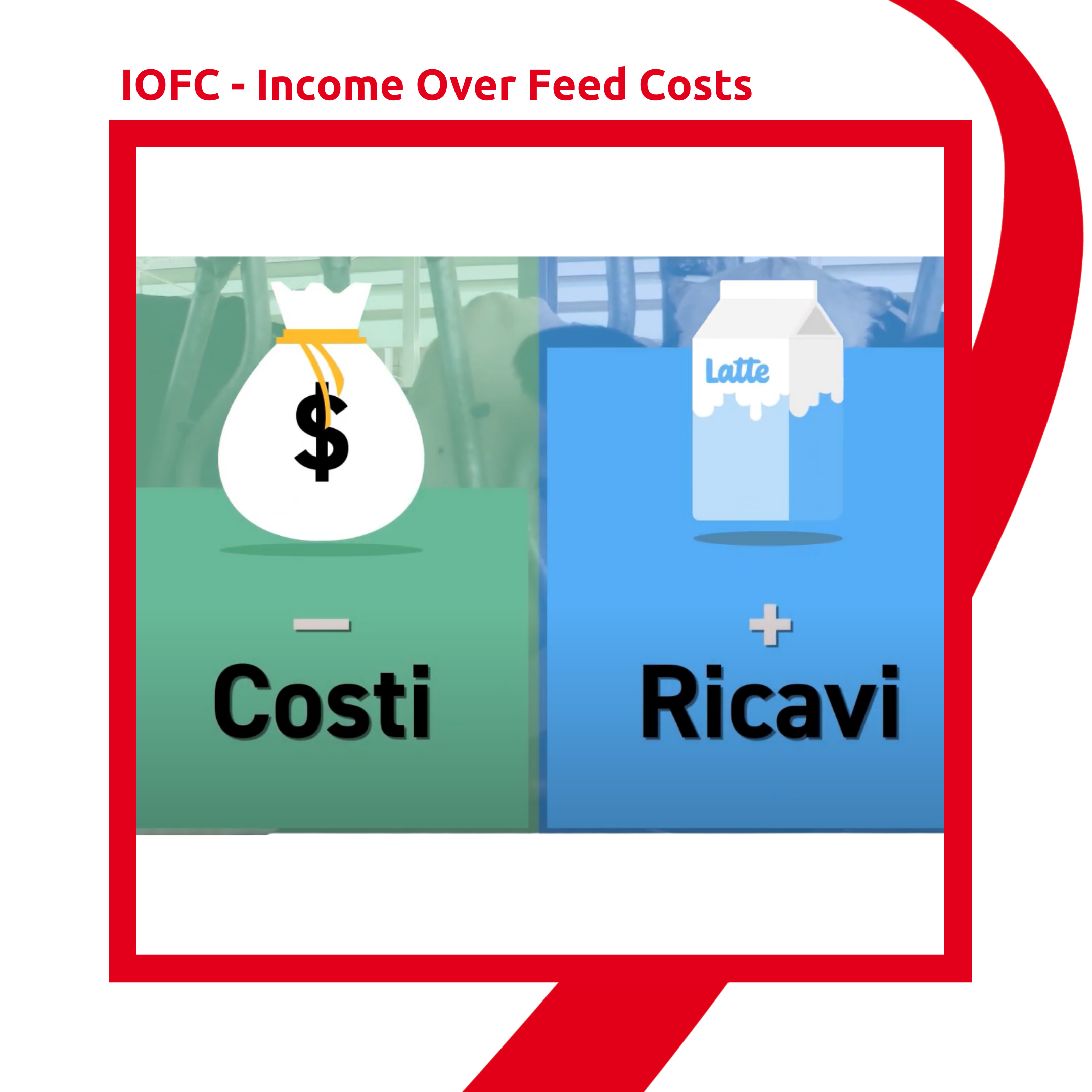 Income Over Feed Cost 2022