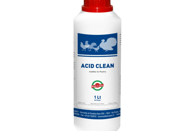 Acid Clean by Tecnozoo
