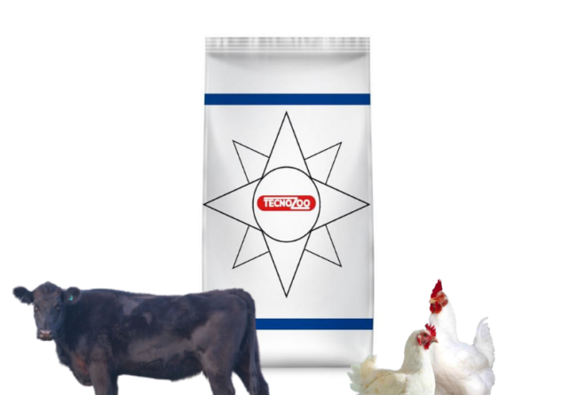 Patologie Podali nel Bovino, come prevenirle